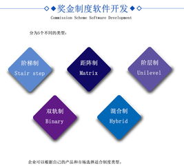 直銷軟件開發(fā) 打造高效便捷的營銷體系